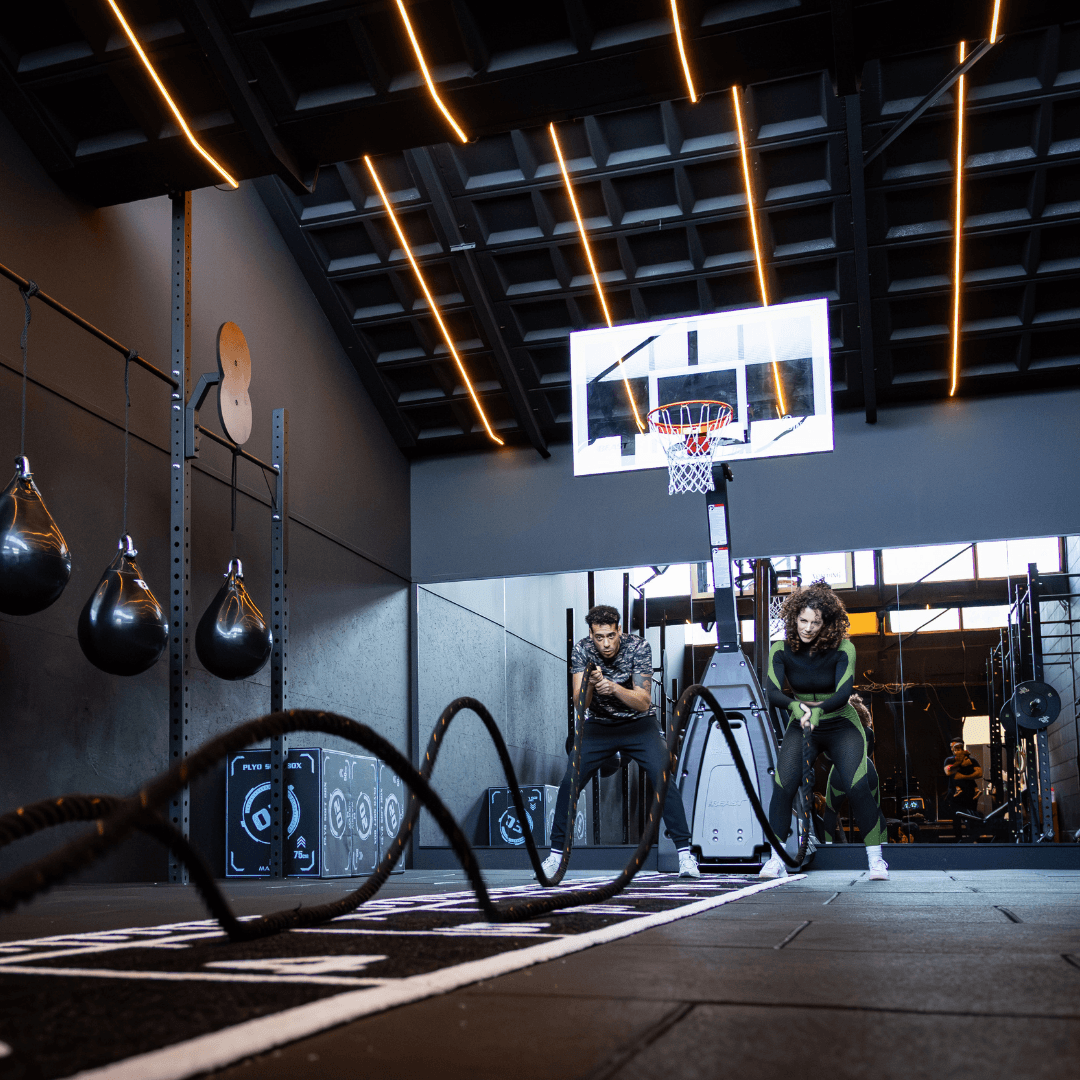 ontdek the gym society fitness ervaring met een gezellige sfeer